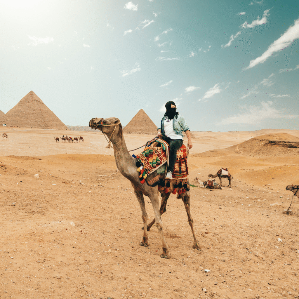 bienvenue sur la page officielle de (4)